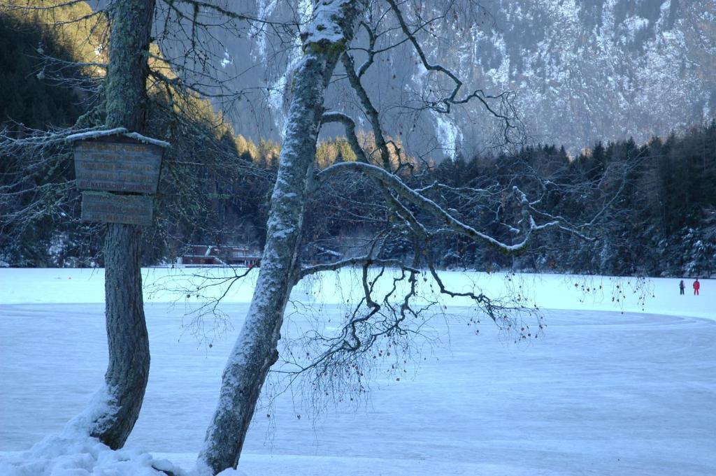 Haus Tirolerland Hotell Oetz Rom bilde